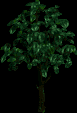 BanjoKazooie-tree.png