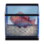 Red Snapper PG Furniture Icon.png