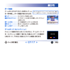 SonicAdventureDX2011 PS3Manual7.png