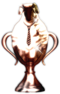 Catherine-Test-Trophy-Bronze.png
