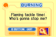 Kirby & the Amazing Mirror Burning Pause.png