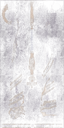 DoD2HanuchUnusedWhiteTexture.png