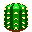 It's an old cactus!