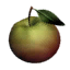 fruit_apple