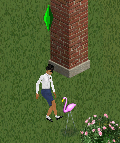 Ts1 kicking flamingos oddity.png