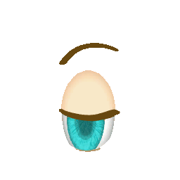 FSANT eye 2.png