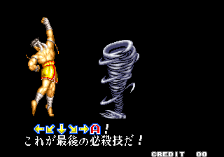 Fatal Fury (Arcade) Joe Projectile JP.png