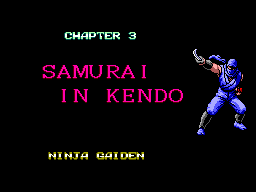 NinjaGaidenMS-Chapter3title.png