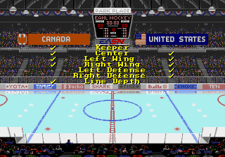 Pro Hockey Mega Drive Stats Screen.png