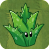 PVZAS-aloe.png