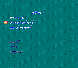 Hiryuu no Ken S - Golden Fighter options.png