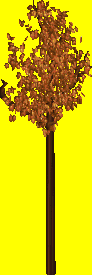 Ts1 1998 tree1fall.png