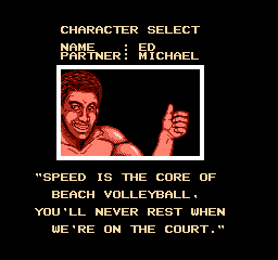 NES V-Ball Ed.png