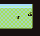 Pokemon RBY underground path original.png