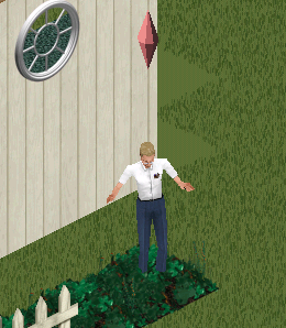 TS1 FLOWER STOMPING.PNG