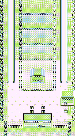 PokeGen1-Route 5.png