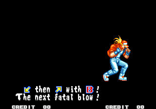 Fatal Fury (Arcade) Terry Dash US.png