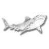 RDR2-animal shark tiger.png