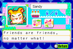 Hamtaro HHG - Card 19.png