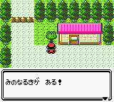 PKMN GS Late 1999 screenshot 5 FINAL.png