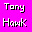 TonyHawkProSkaterDC THPS SGICON.png