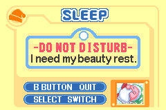 Kirby & the Amazing Mirror Sleep Pause.png