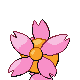 Unused Pokemon PlatHGSS Cherrim Back Frame 2 Shiny.png