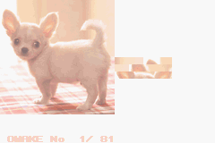 Pocket Dogs U E GBA 15PAZ VIEWER.png