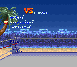 Hiryuu no Ken S - Golden Fighter VS tournament.png