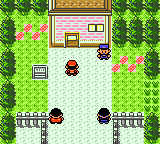 PKMN GS Unknown 1 screenshot 2 Final Comparison.png