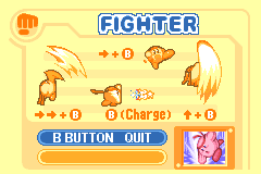 Kirby & the Amazing Mirror Fighter Pause.png