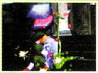 OoT-Forest Temple May98 Entrance.png