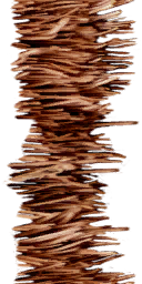 Lbp2Move doormat hair.tex.png