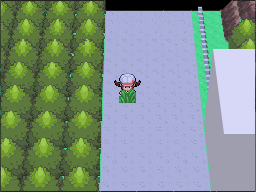 Pokemon HGSS Jan 31 08 Route 36 Invisible Grass 2.png