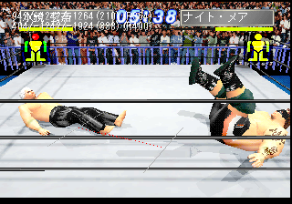 The Pro Wrestling In Game Debug 2.png