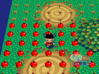 Animalforest field3apples.png