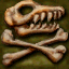 Crash 3 - PrehistorySkull.png