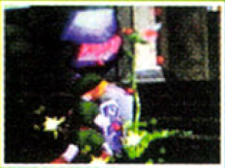 OoT-Forest Temple July98 Entrance.png