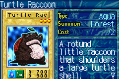 TSC Turtle Raccoon.png