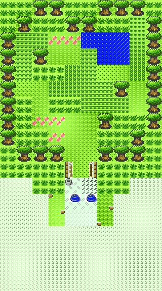 Pokémon GS Safari Zone.png