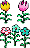 SPPeach-Flowers.png