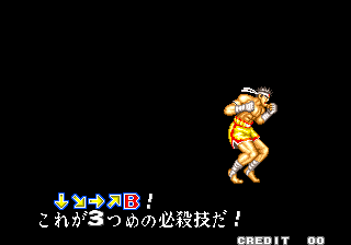 Fatal Fury (Arcade) Joe Dash JP.png