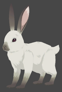 GenshinImpact-CBT1-Animal Rabbit 01.png