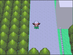 Pokemon HGSS Jan 31 08 Route 36 Invisible Grass 1.png