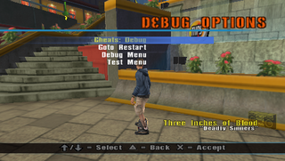 THUG2R Debug Options Menu.png