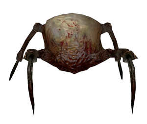 Hl2final fastheadcrab2.png