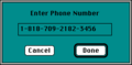 Virtual Pool (Mac OS Classic) - Phone Number.png