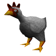 CSDS-animal chicken.PNG