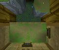 TWW Cave08 Details8.png