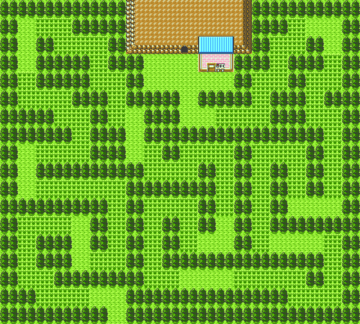 PKMN GS Map2A 5A37 TS1F.PNG